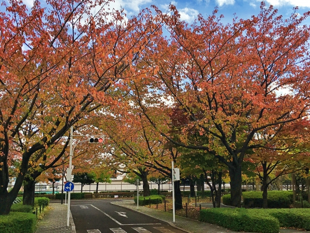 荒川区はファミリーで暮らすのにぴったりな住みやすさ！その理由とは？の画像