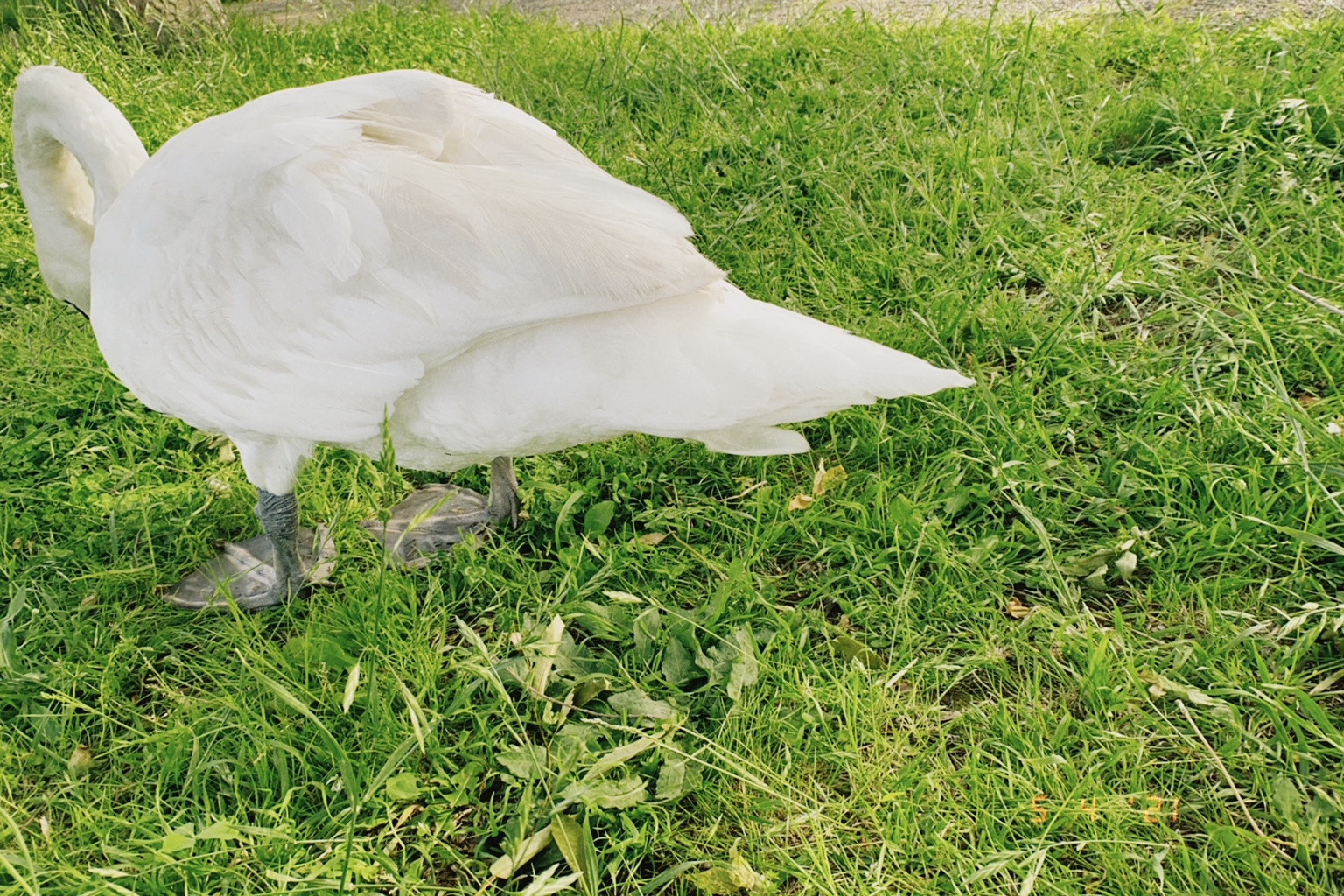 ～スタッフの日常～の画像