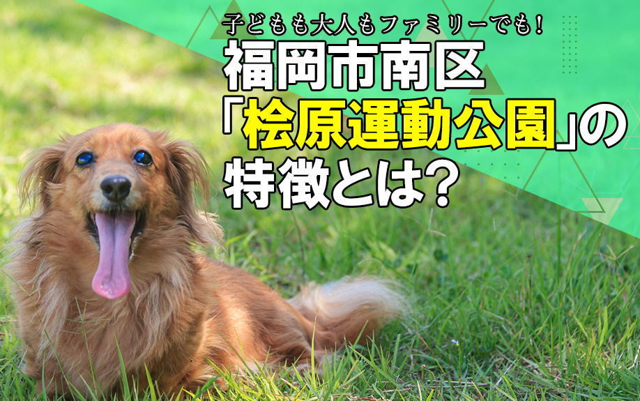 子どもも大人もファミリーでも！福岡市南区「桧原運動公園」の特徴とは？の画像