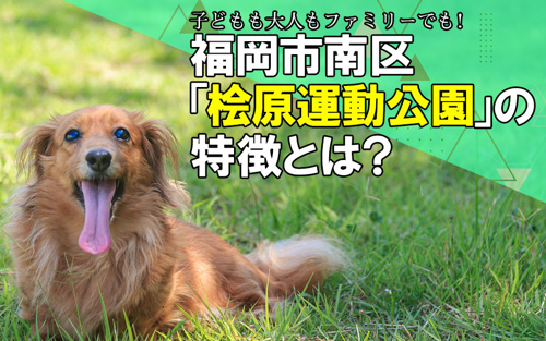 子どもも大人もファミリーでも！福岡市南区「桧原運動公園」の特徴とは？
