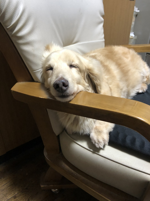リフレッシュできました(^^♪の画像