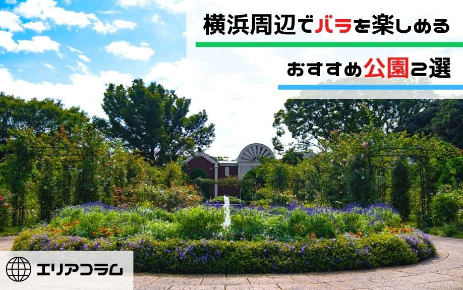 横浜周辺でバラを楽しめるおすすめ公園2選の画像