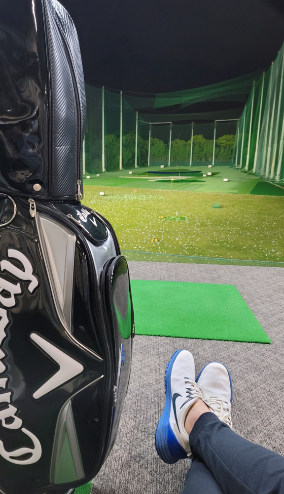 【王道】ダイナミックゴールドＳ２００【伝説】の画像