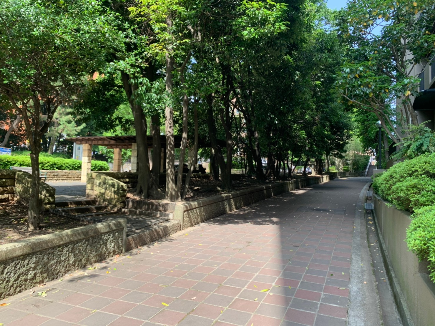 おすすめ物件 緑地グランドマンションの画像