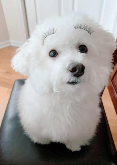 最近は暗い話ばかりなので動物に癒されよう 福山市 尾道市の不動産の事なら株式会社タカハシ