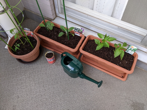 家庭菜園はじめました 坂戸の賃貸アパート マンション 貸家 店舗事務所は株式会社モーリアス