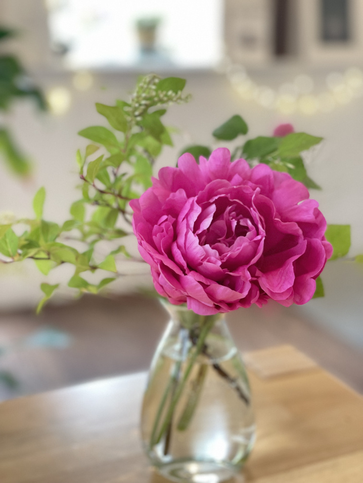立てば芍薬、座れば牡丹、歩く姿は百合の花(^^)の画像