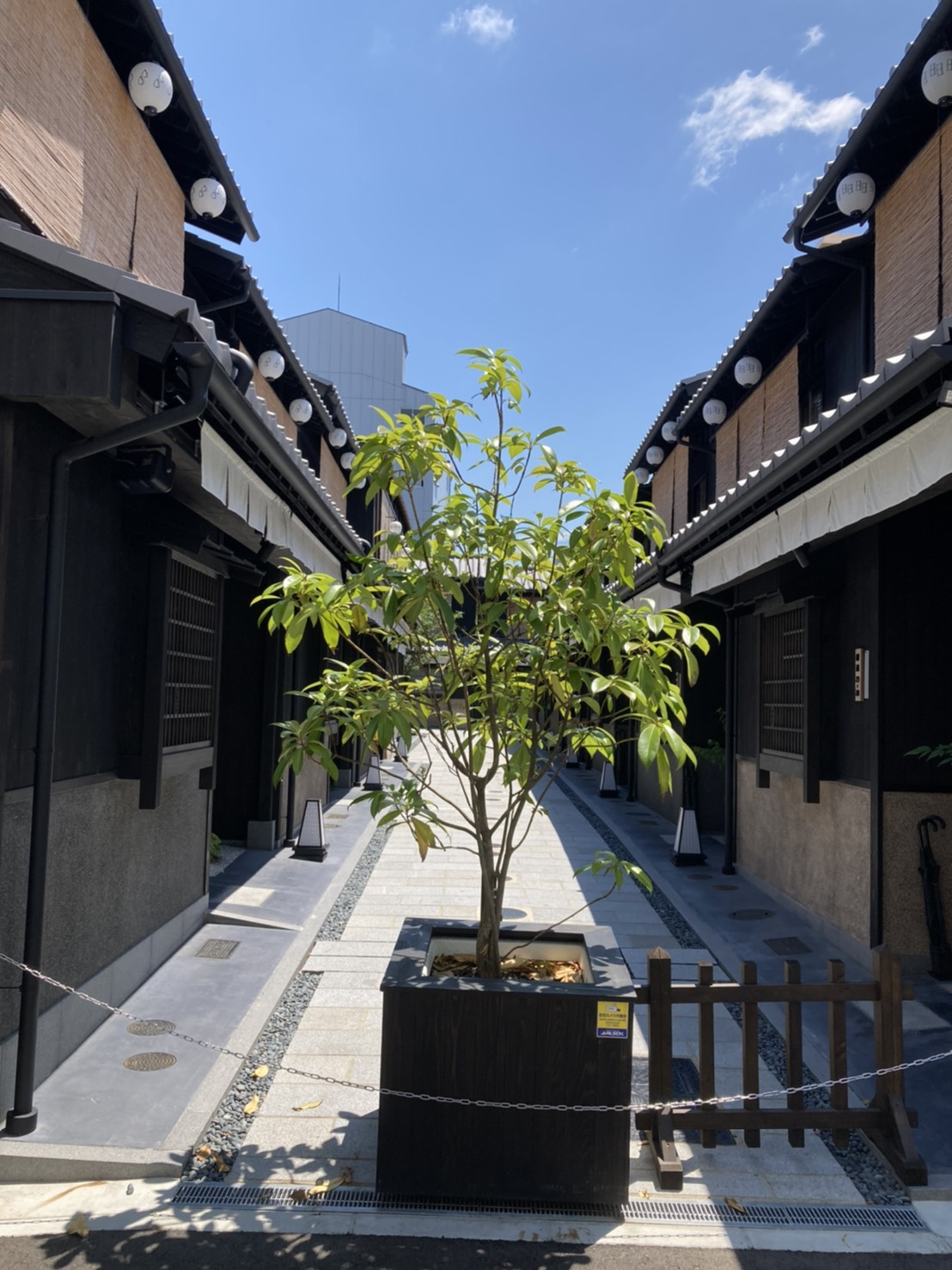 【求ム！】土地情報の画像