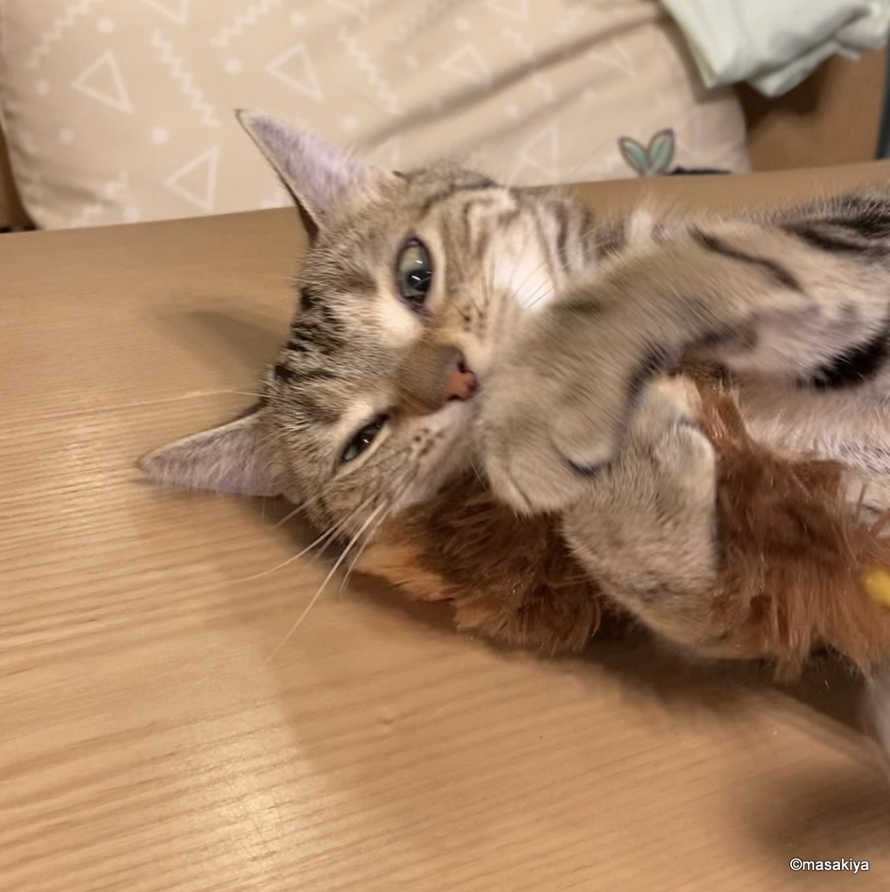 好きなおもちゃの画像