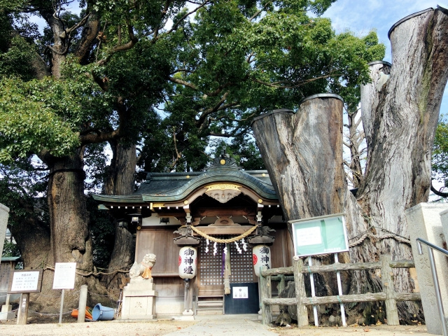 六甲道駅周辺のおすすめ神社を紹介！歴史や人気の理由は？の画像