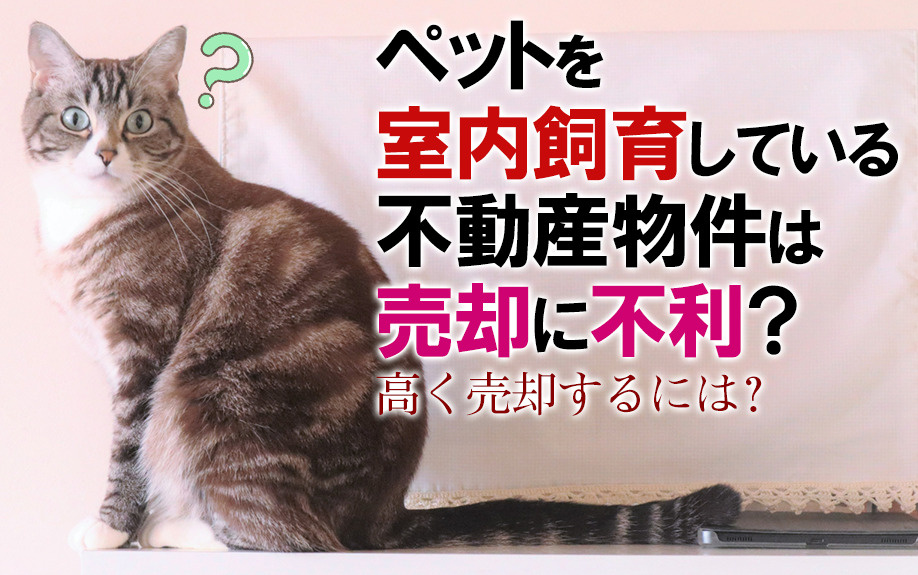 ペットを室内飼育している不動産物件は売却に不利？高く売却するには？の画像