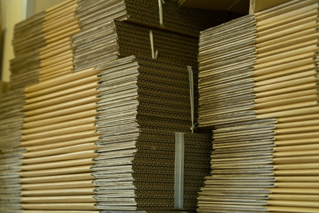 ダンボールは害虫にとって最高の環境