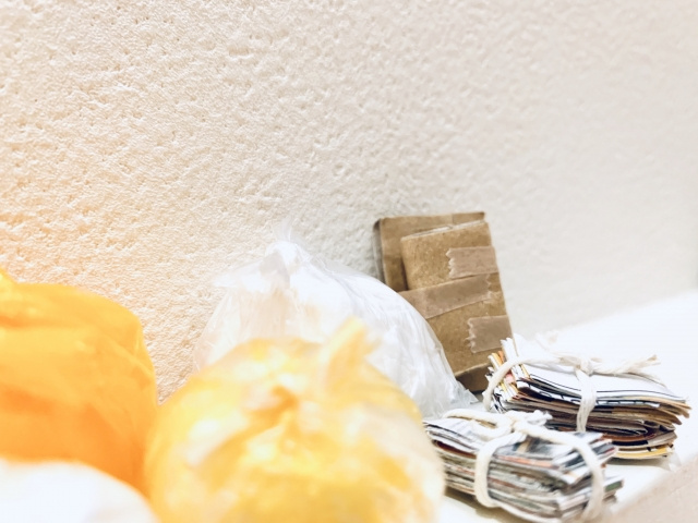 【ダンボールは害虫の楽園！？】虫を見つける前に早めに処分！