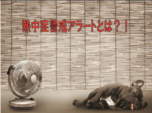 熱中症警戒アラートとは？！の画像