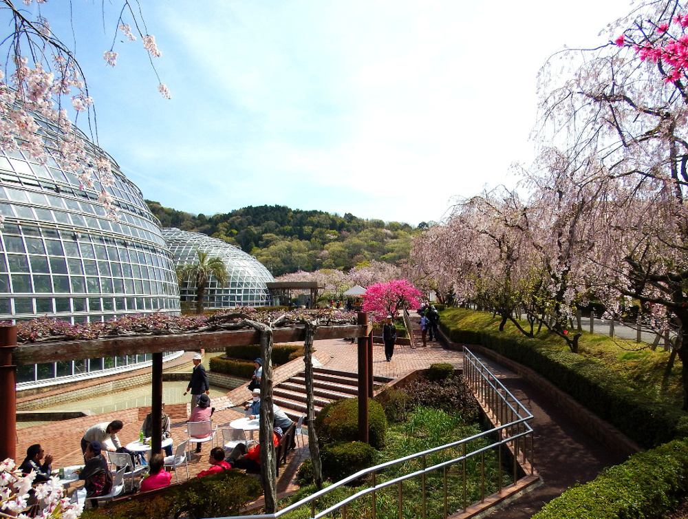 守山区は子育てしやすいの画像