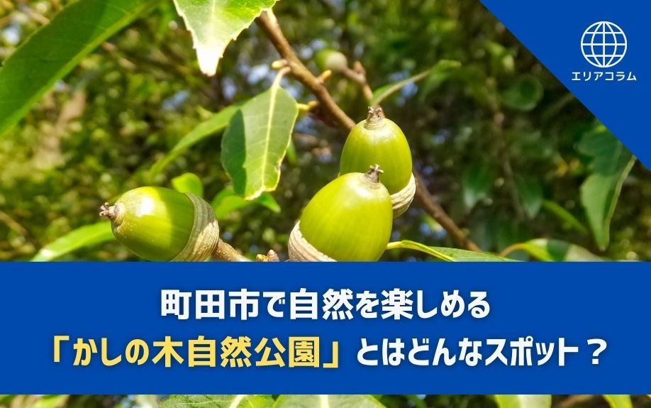 町田市で自然を楽しめる「かしの木自然公園」とはどんなスポット？の画像
