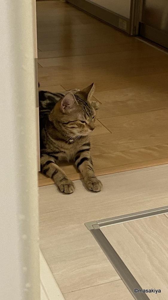 気配の画像