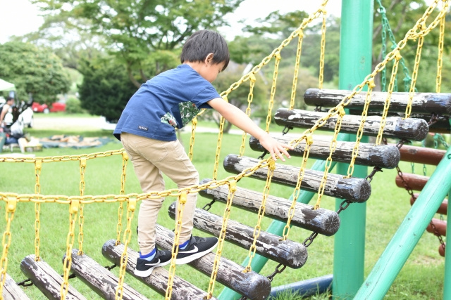 墨田区の子どもと遊べる「わんぱく天国」の概要や設備とは？の画像