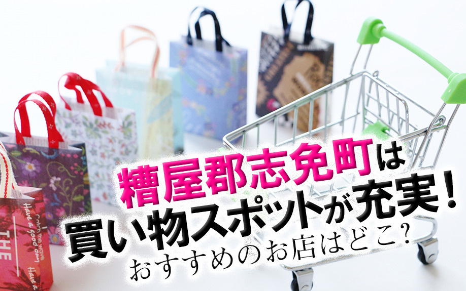 糟屋郡志免町は買い物スポットが充実！おすすめのお店はどこ？の画像