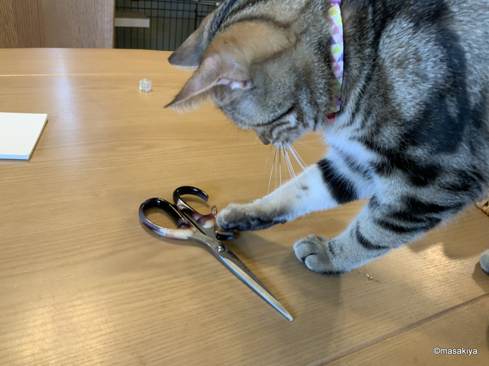 破壊の画像