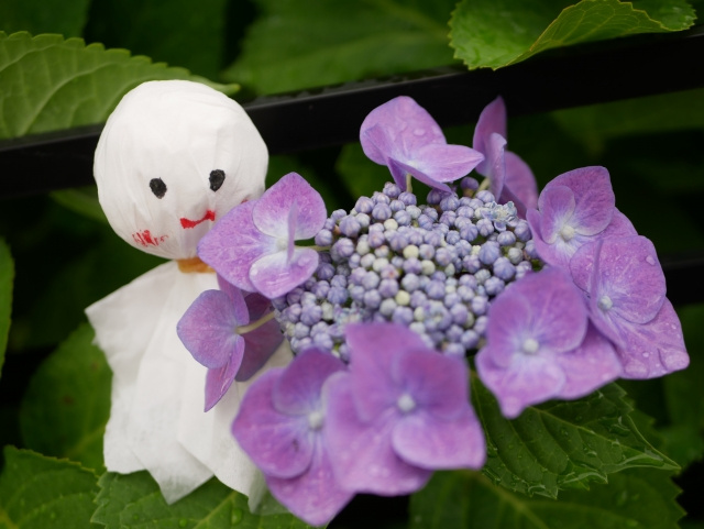 梅雨のジメジメ対策 ~日高市高麗川駅前雑学コラム~の画像