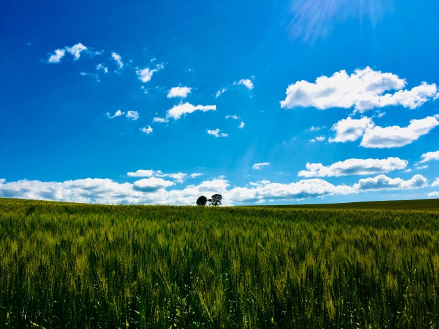 美瑛・富良野【北海道】