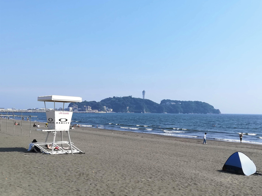 湘南の夏支度（2021.6.10）の画像