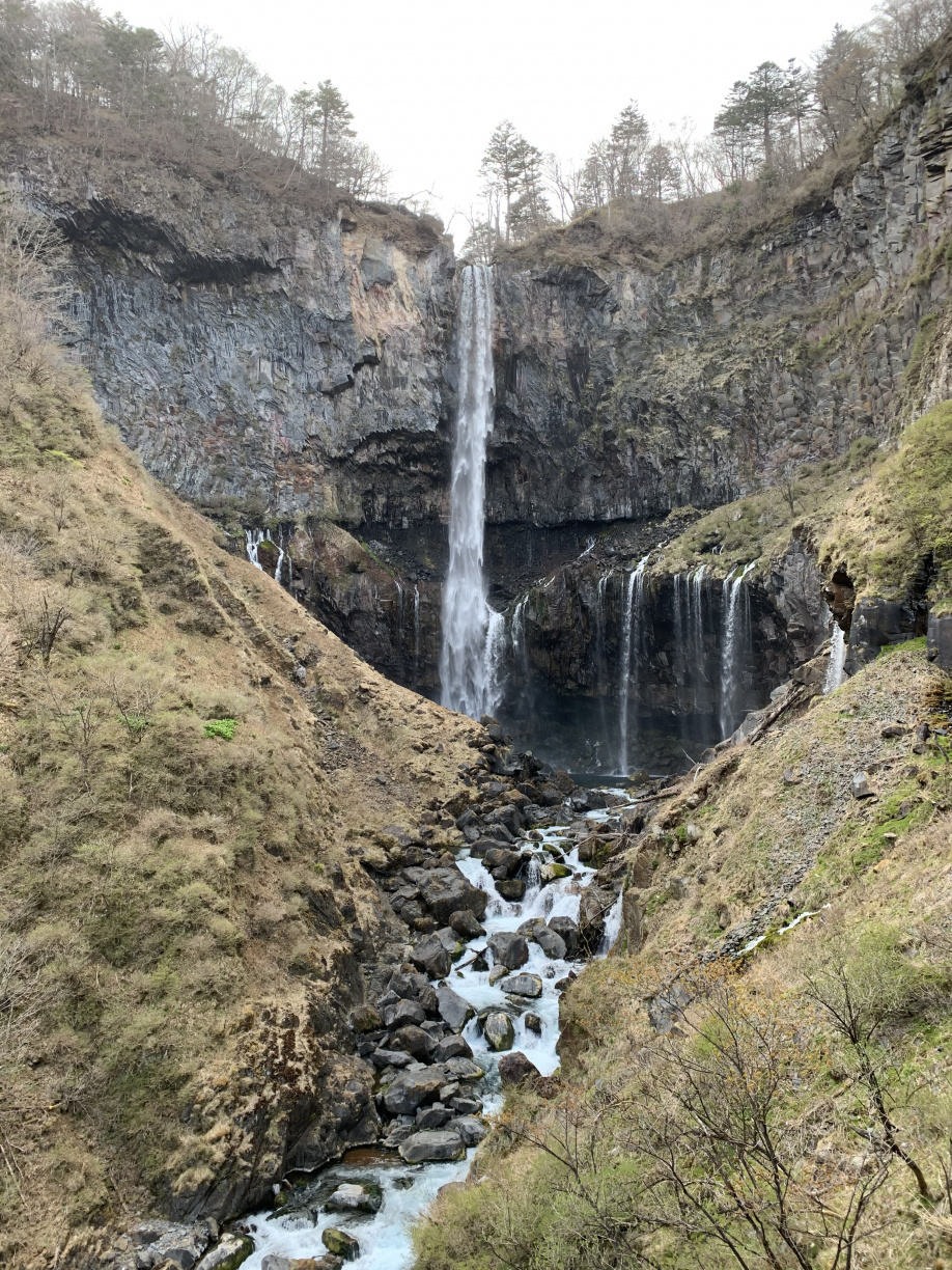 旅行に行ってきました♪パート2の画像