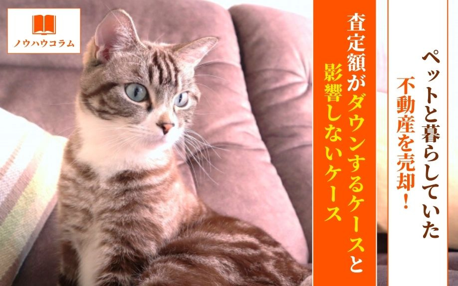 ペットと暮らしていた不動産を売却！査定額がダウンするケースと影響しないケースの画像