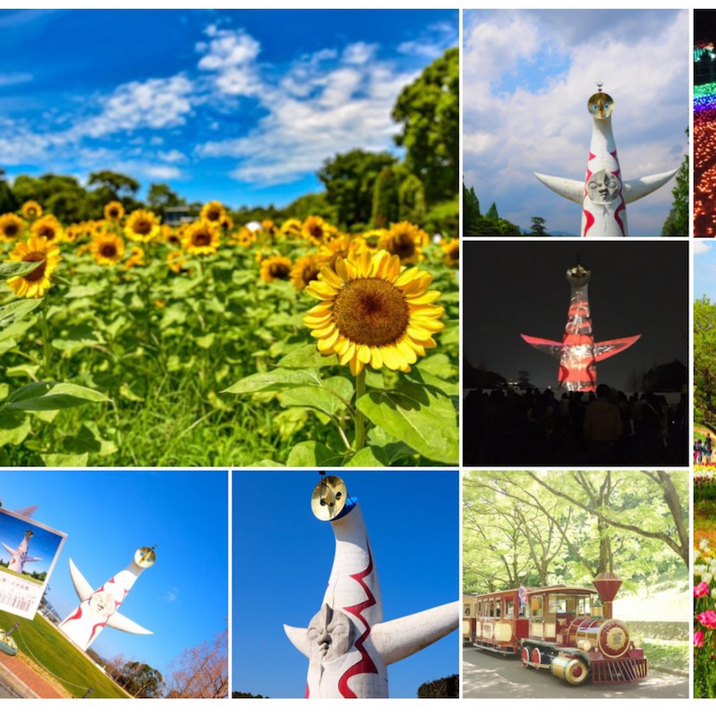 万博記念公園のイベント一覧の画像