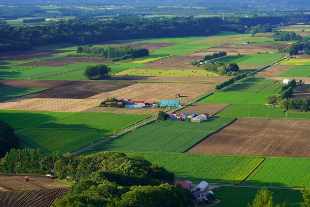市街化調整区域とはどんな土地？購入する際に注意すべき点とは？