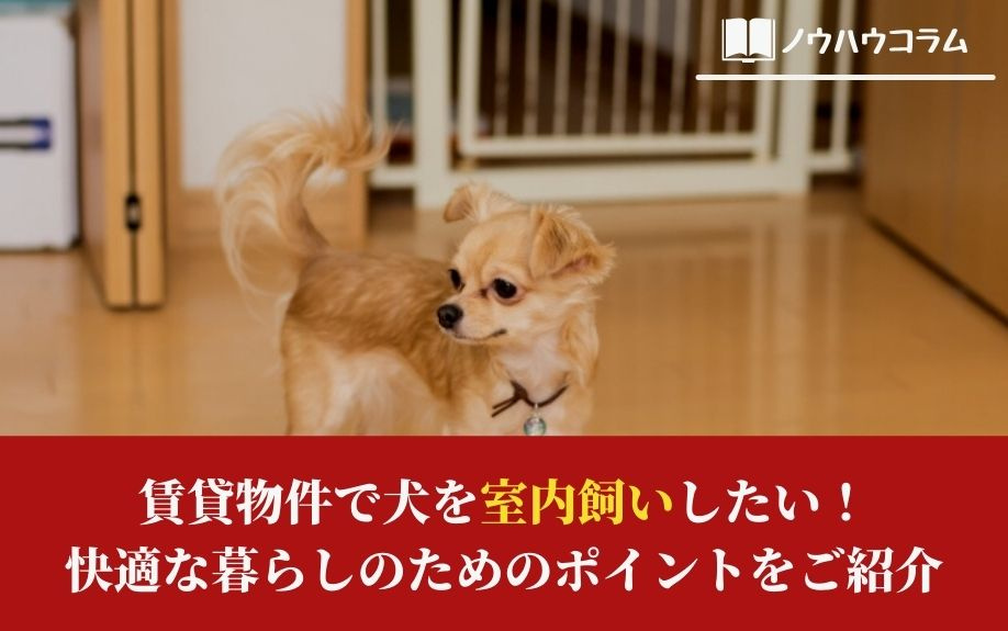 賃貸物件で犬を室内飼いしたい！快適な暮らしのためのポイントをご紹介の画像