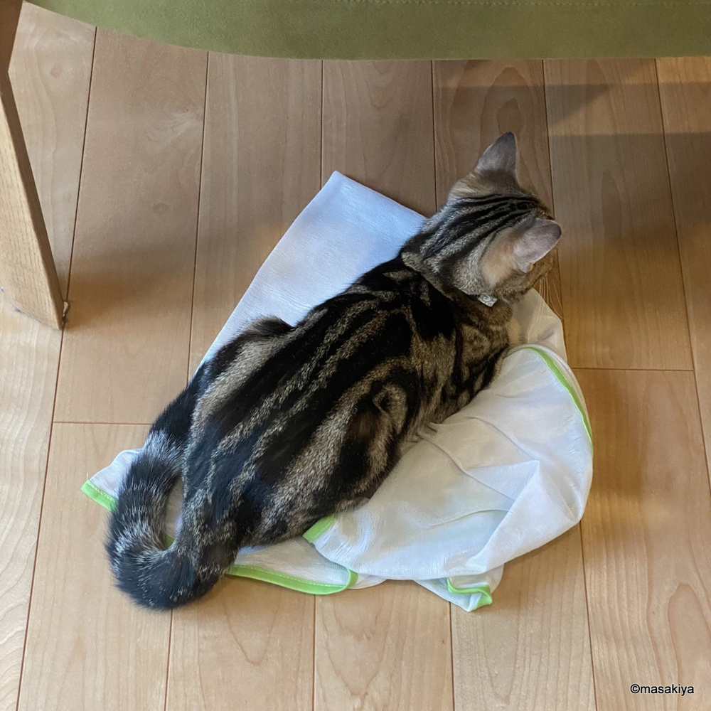 AIの画像