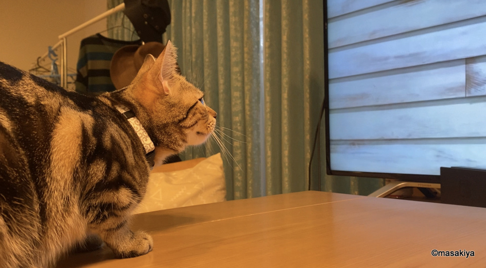 暇つぶしの画像