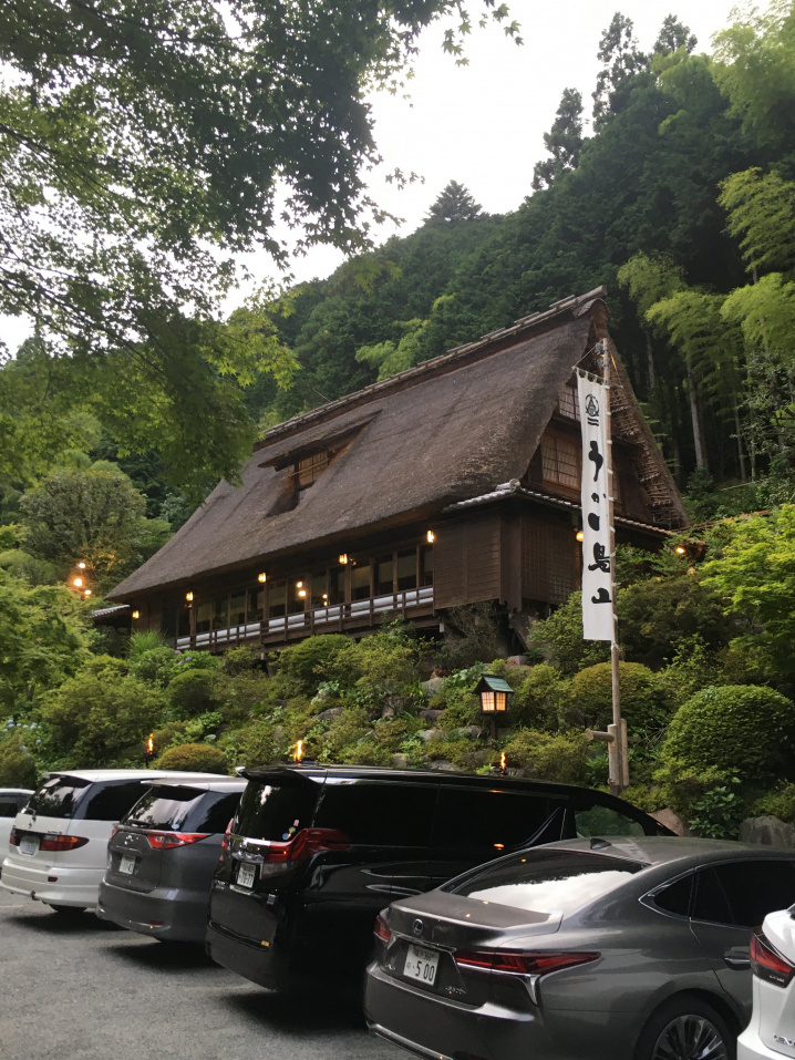六月の蛍狩りの画像