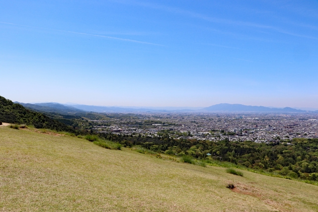 全国に広がる奈良県をルーツとする名字とは？