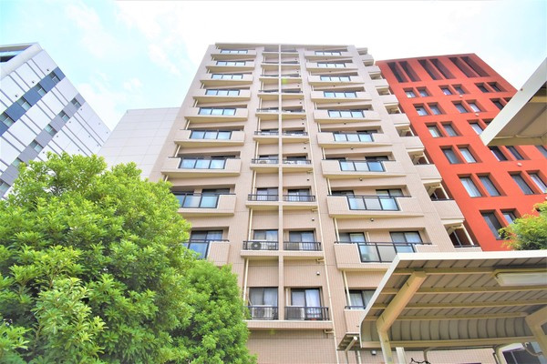 現地販売会開催中の画像