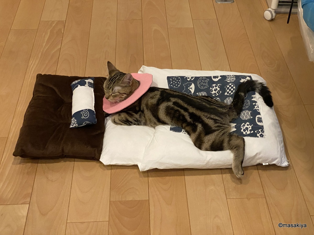 お布団の画像