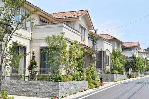 不動産を売却するときに庭木はどうしたらいい？処分をするべきかを解説