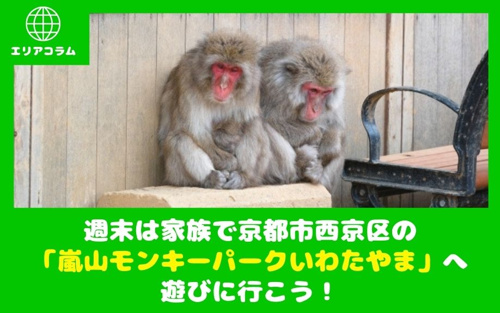 週末は家族で京都市西京区の「嵐山モンキーパークいわたやま」へ遊びに行こう！