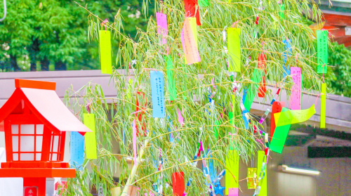 大阪市内七夕祭り☆の画像