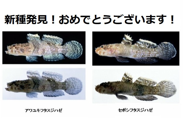 ７月１日：おめでとうございます！の画像