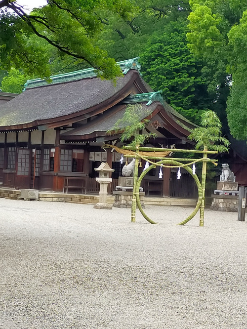 知立神社　茅の輪くぐりの画像
