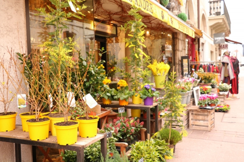 成田市でガーデニングを楽しみたい おすすめの花屋は 千葉市 稲毛の新築一戸建て情報はピタットハウス稲毛穴川店