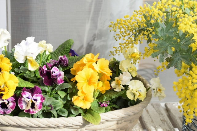 横浜市中区でガーデニングにおすすめの花屋2選！の画像