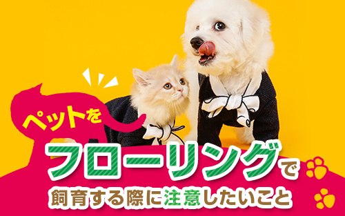 ペットをフローリングで飼育する際に注意したいことの画像