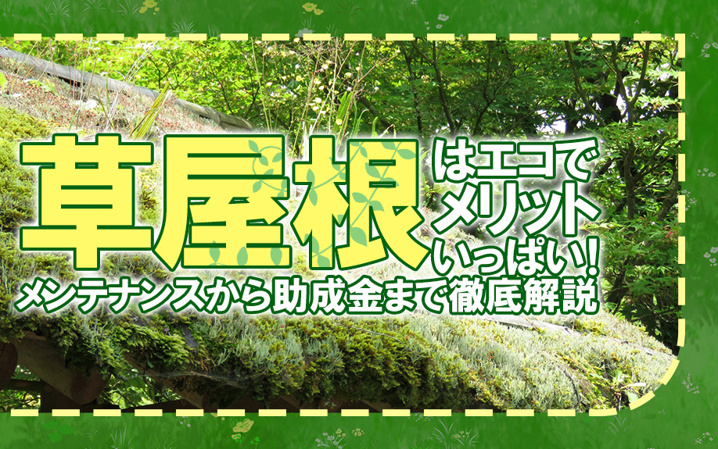 草屋根はエコでメリットいっぱい！メンテナンスから助成金まで徹底解説
