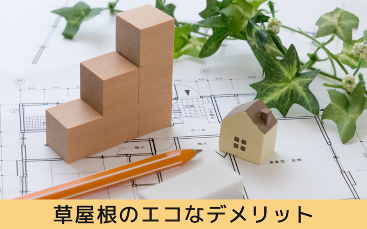 草屋根はエコでメリットいっぱい メンテナンスから助成金まで徹底解説 センチュリー21グローバル不動産販売