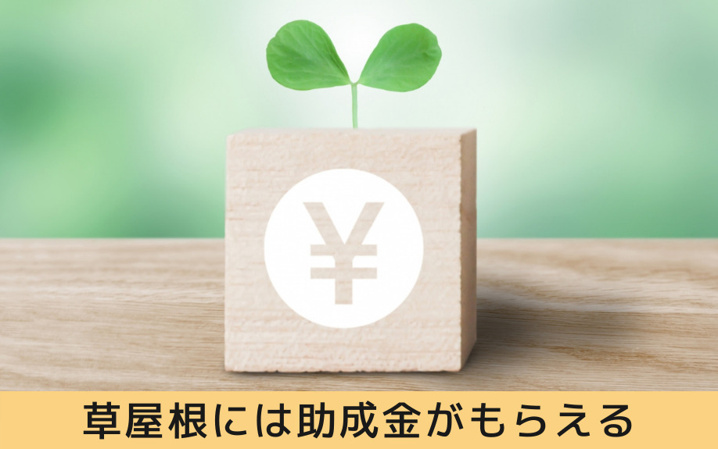 草屋根はエコでメリットいっぱい メンテナンスから助成金まで徹底解説 センチュリー21グローバル不動産販売
