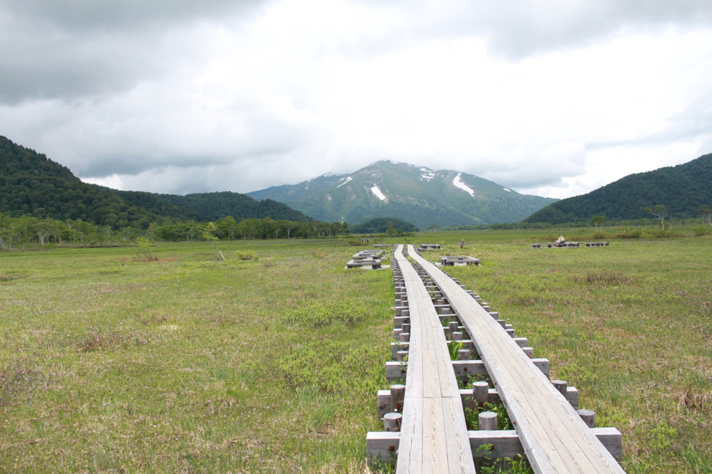 梅雨の画像